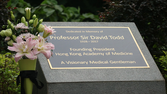 In Remembrance of Professor Sir David Todd