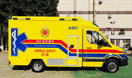 Ambulance use affects timely emergency treatment of acute ischaemic stroke 